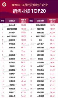 主要是基于CREIS在武汉的销售监测数据