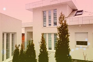财政部:指导浙江研究实施“双碳”财政奖惩政策